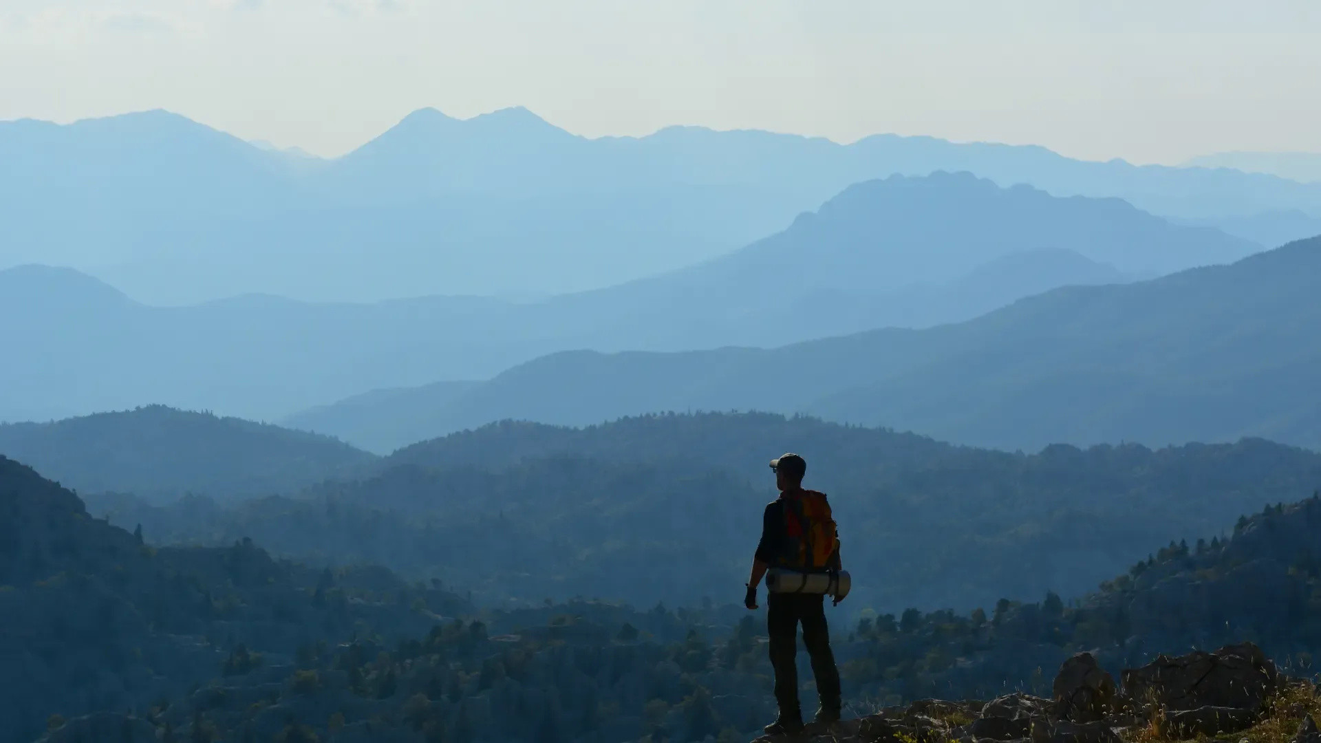 Want to Win Your Next Role? Lose Less First.